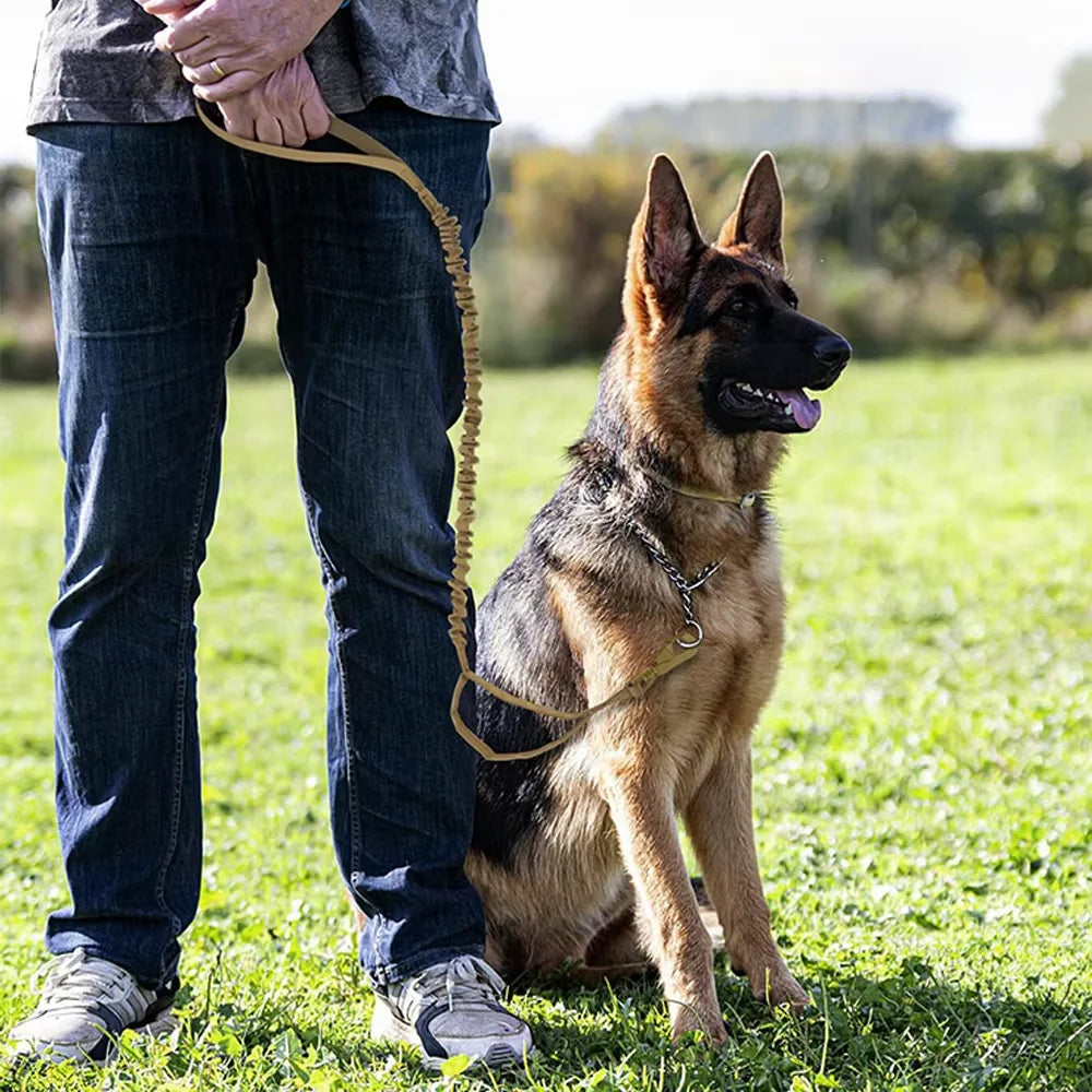 Retractable Military Dog Leash With Dual Handles For All Breeds