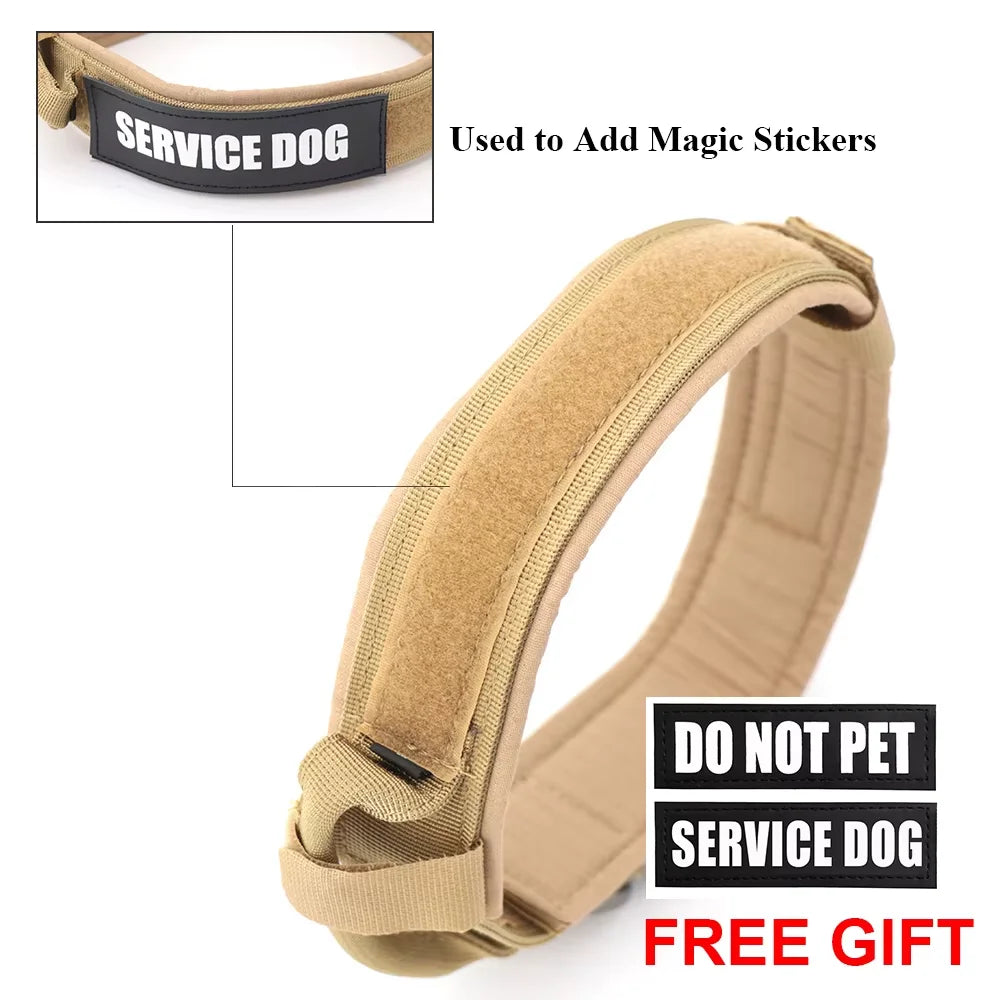 Dog Training Collar And Leash Set With Control Handle
