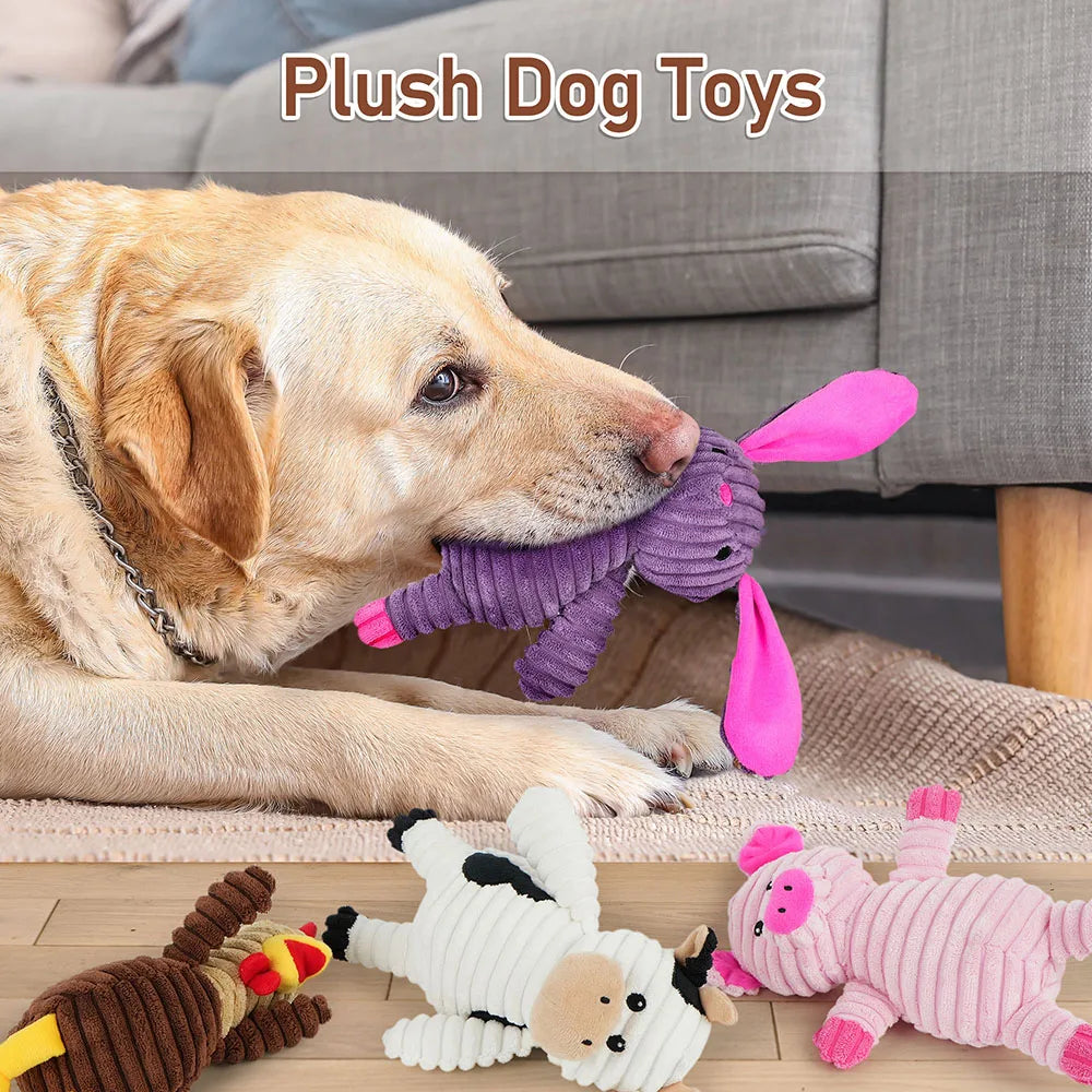 5 Pack Plush Squeaky Dog Toys Assortment Bundle For Pets