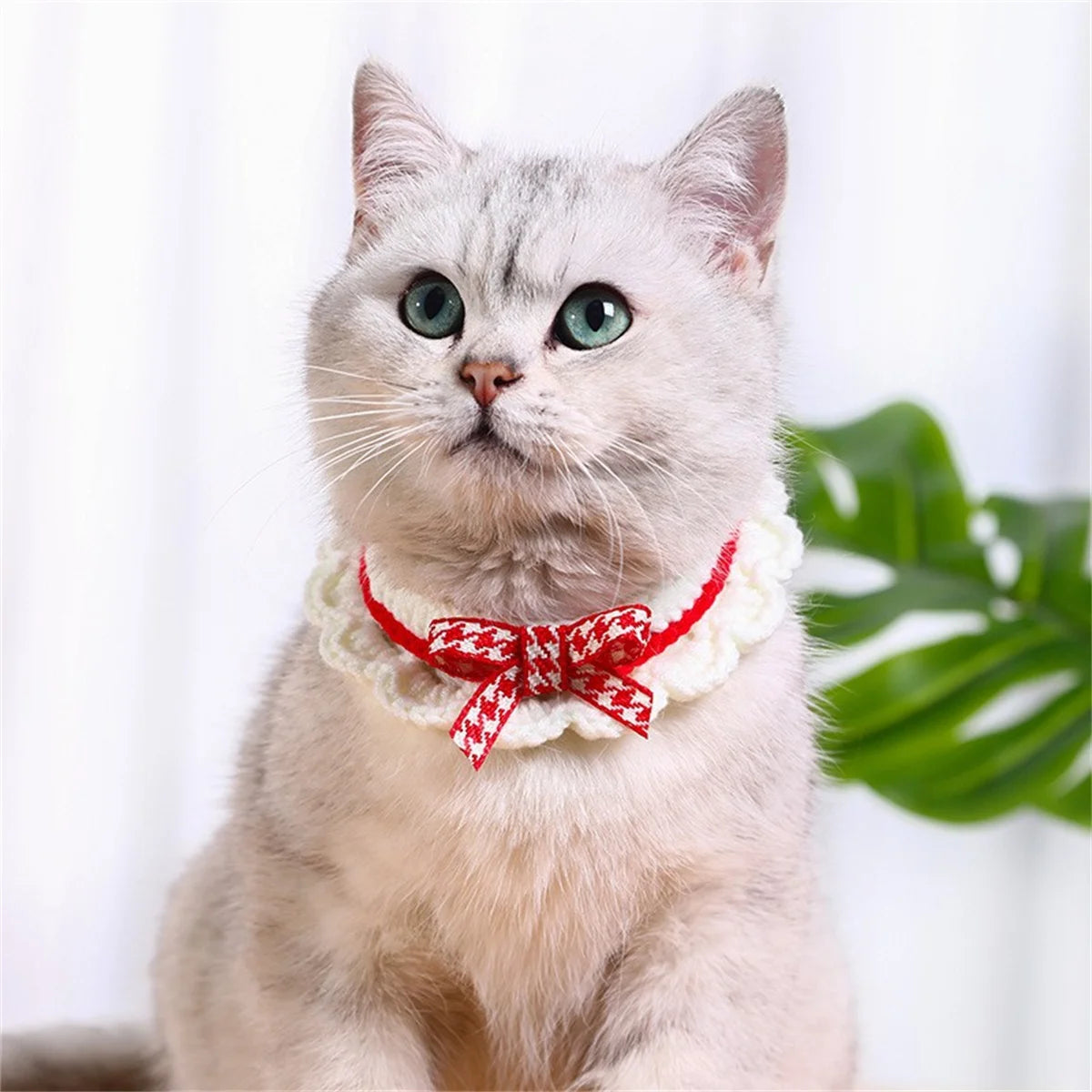 Adjustable Handknit Bow Collar For Cats And Puppies