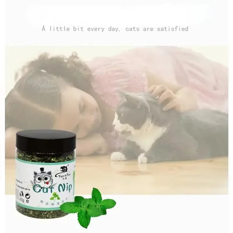 Organic Catnip Interactive Round Stainless Steel Cat Toy For Pets