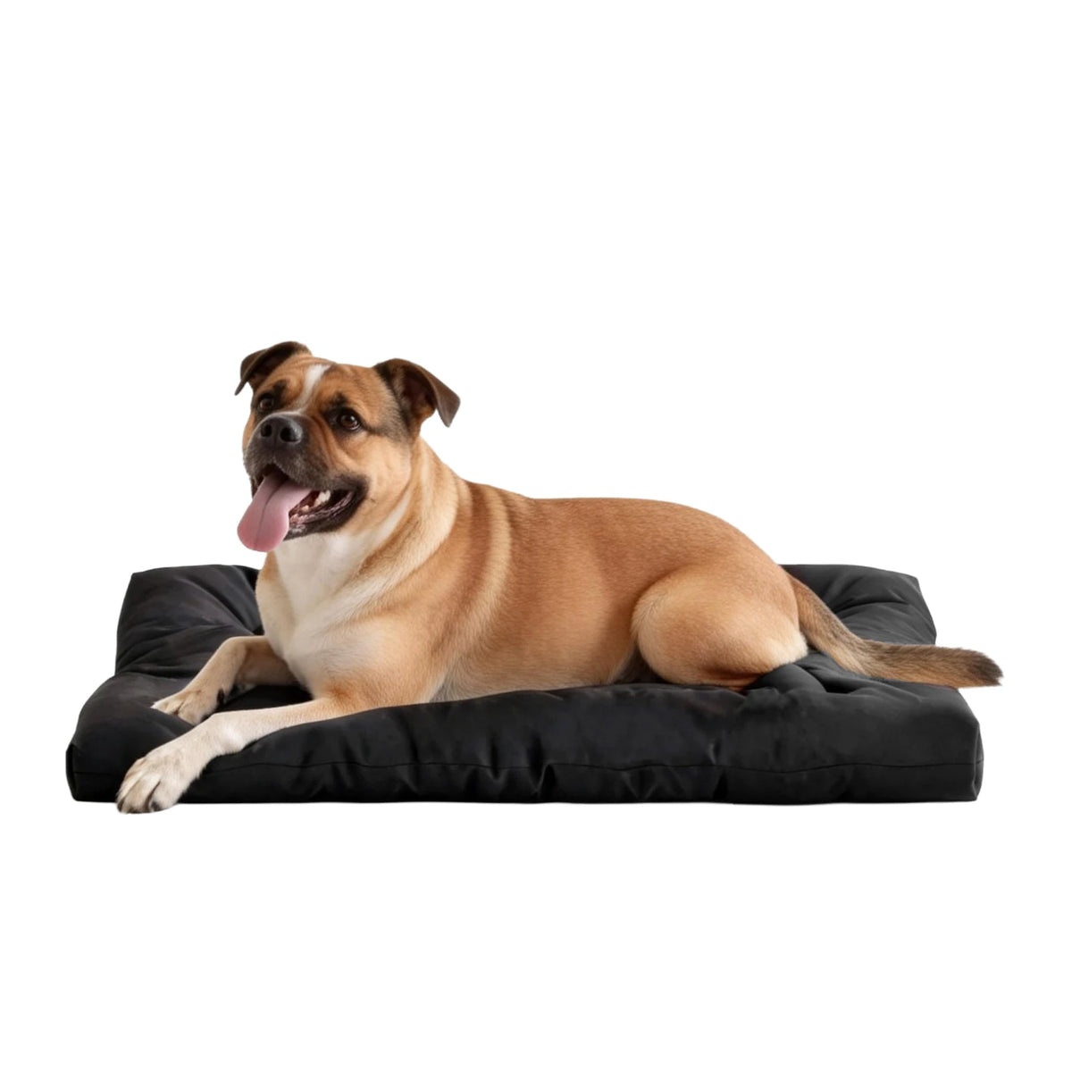 Durable Chew Proof Dog Bed For Large Dogs Waterproof Mat