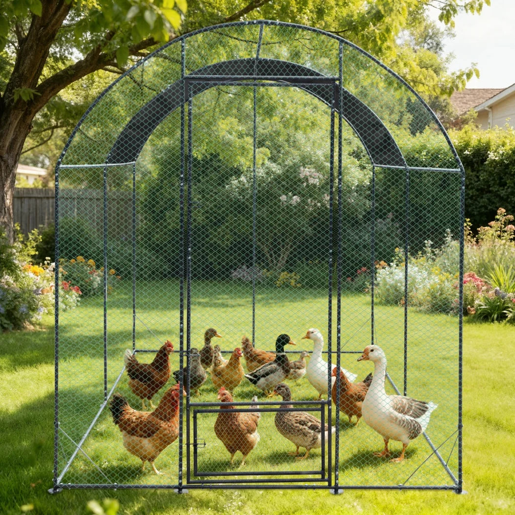 BORWART Walk-In Chicken Coop Cage With Nylon Netting